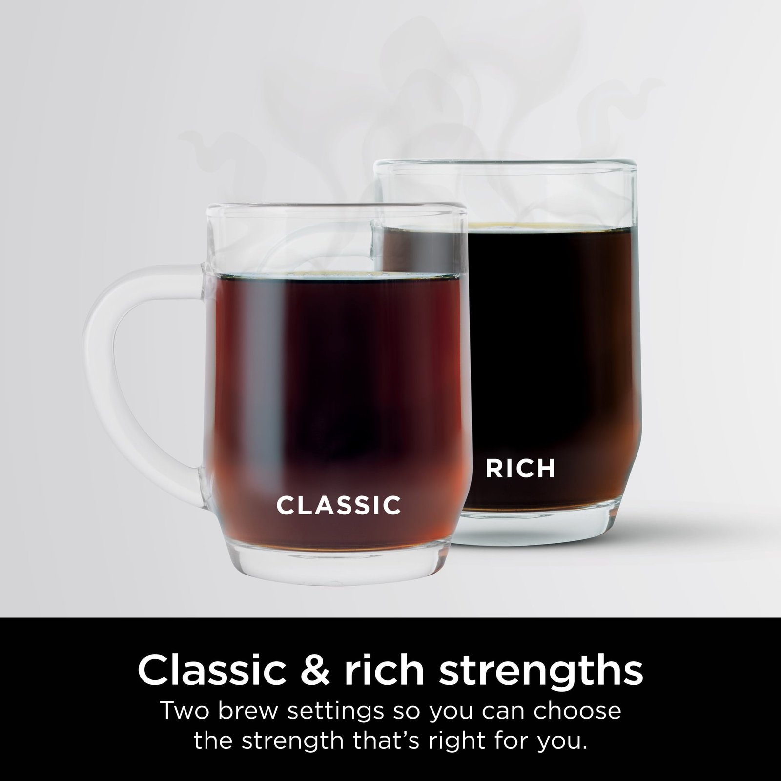 Ninja 12-Cup Stainless Steel Coffee Maker, Glass Carafe, CE250